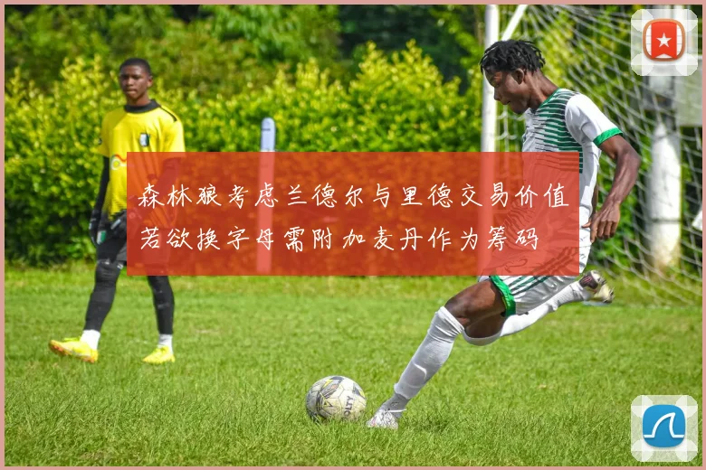 森林狼考虑兰德尔与里德交易价值若欲换字母需附加麦丹作为筹码