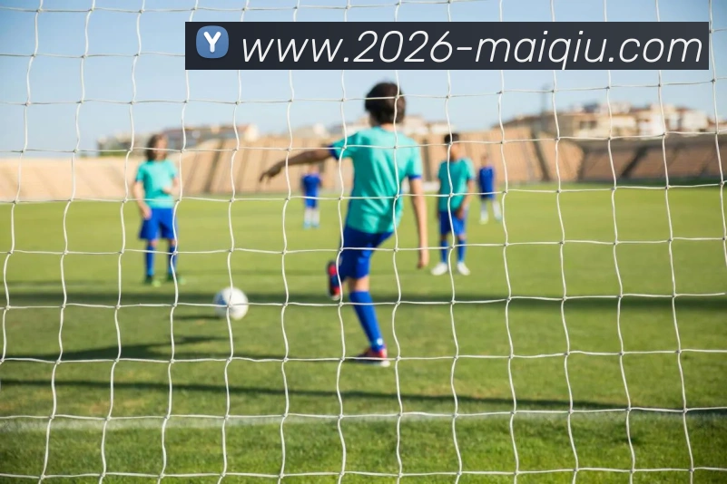 中超买球官网品牌故事