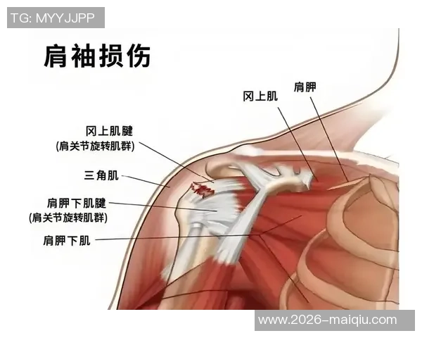 奔跑的联盟：球员腿部肌肉损伤现象引发广泛关注与讨论